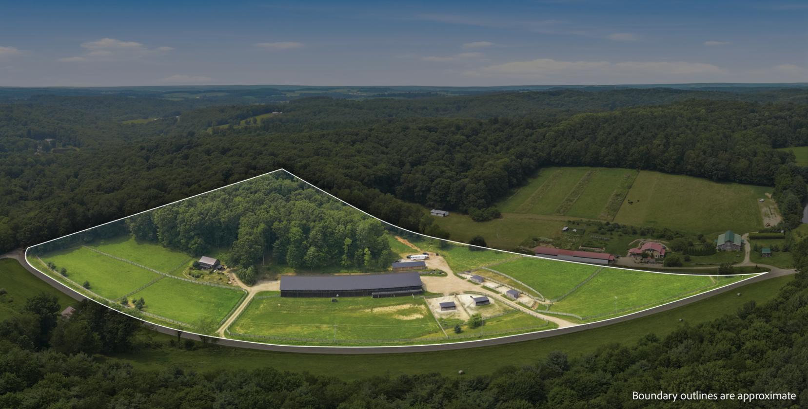 Exceptional Mohican Equine Estate Auction - photo 29