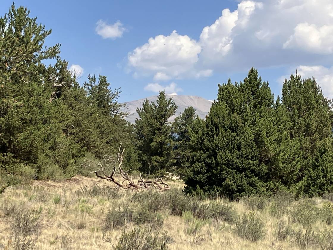 Horse Property for sale.