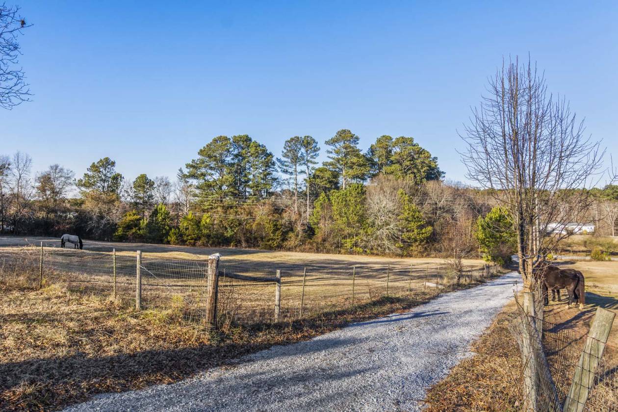 Horse Property for sale.