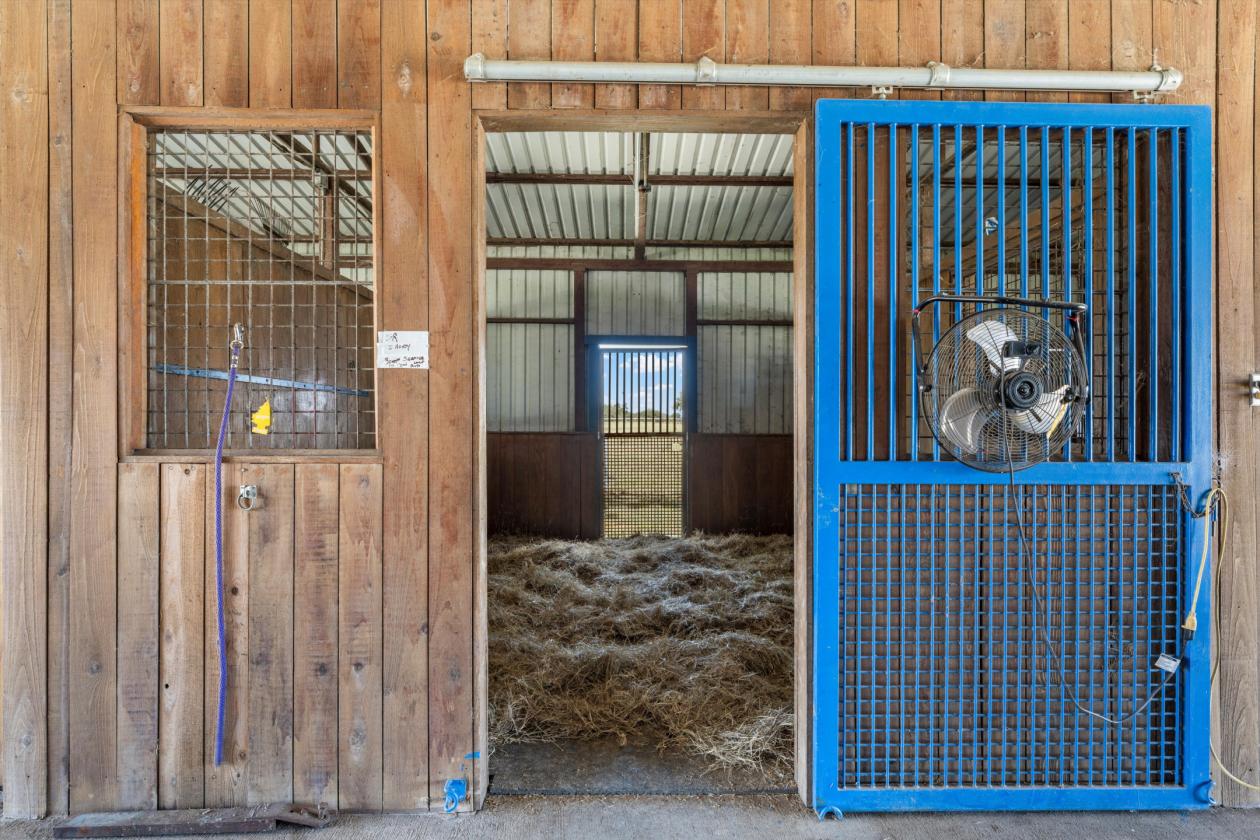 Beautiful 101 Acre Equestrian Facility & Residence - photo 5