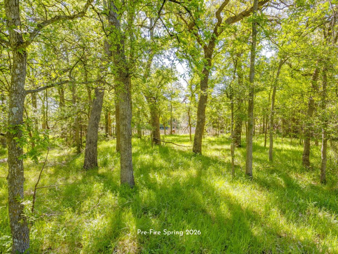 AG EXEMPT 97+ ACRES WITH PASTURE LAND & 4 TANKS - photo 8