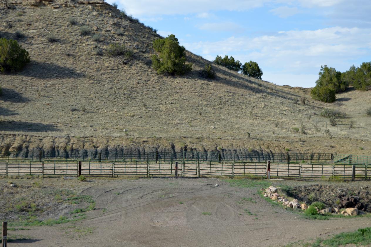 Cash Ranch - photo 26