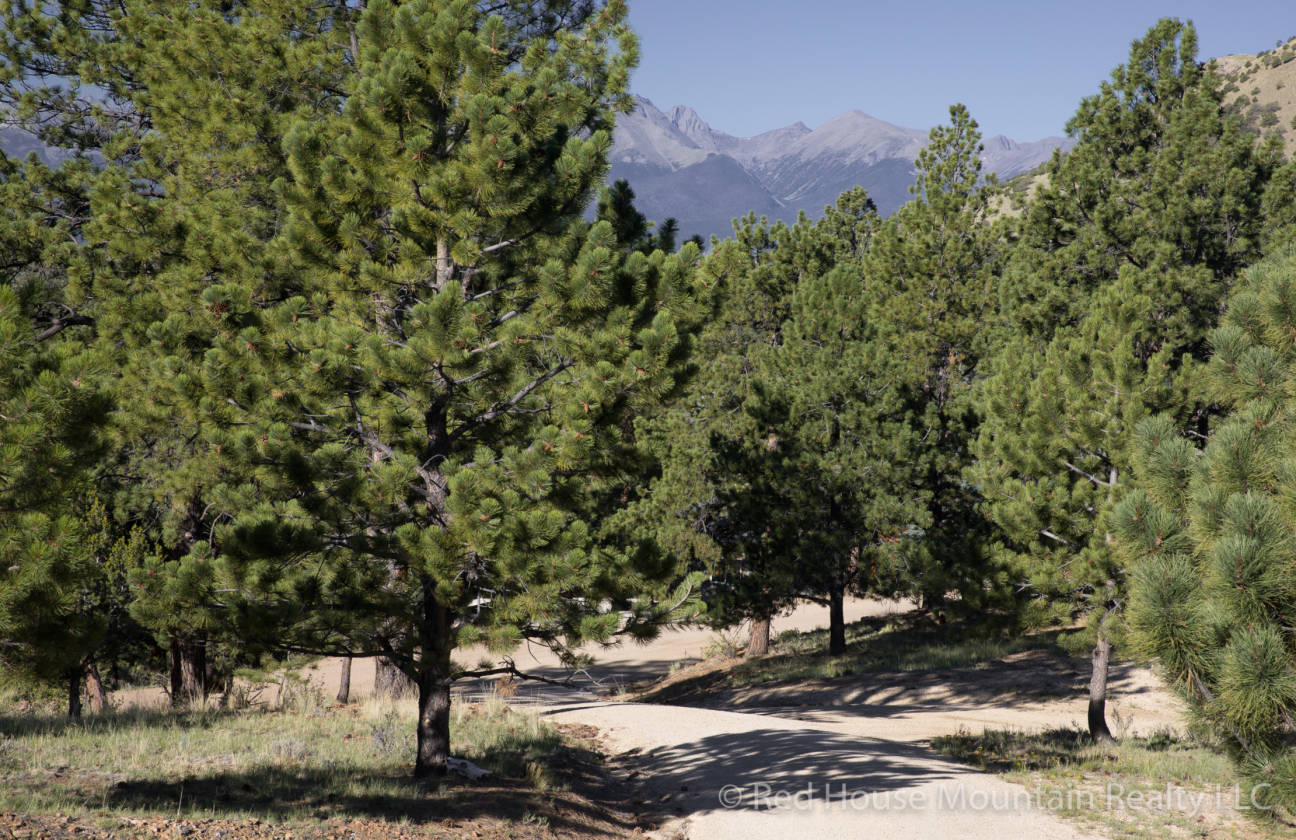 Beautiful 6+ Acre Horse Property with Barn in Westcliffe Colorado