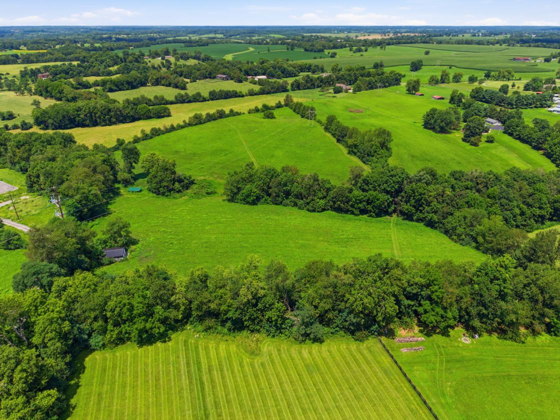 Luxury Estate 10-minutes From Lexington - photo 30