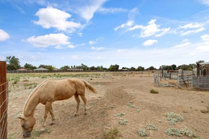 Property image.