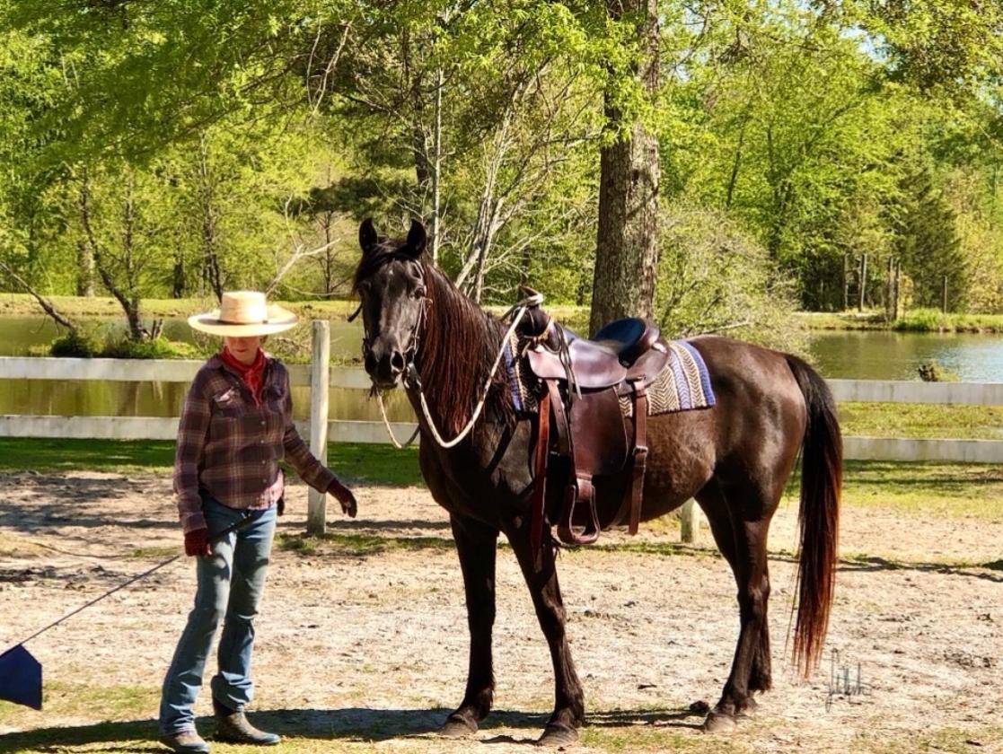 Experience the Ultimate Equestrian Lifestyle - photo 5