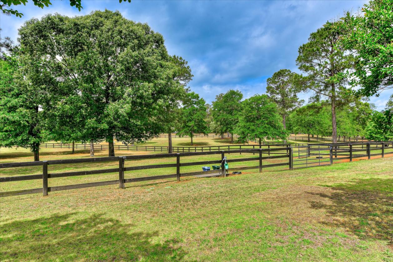 Horse Property | Three Runs Plantation | 8 Acres - photo 22