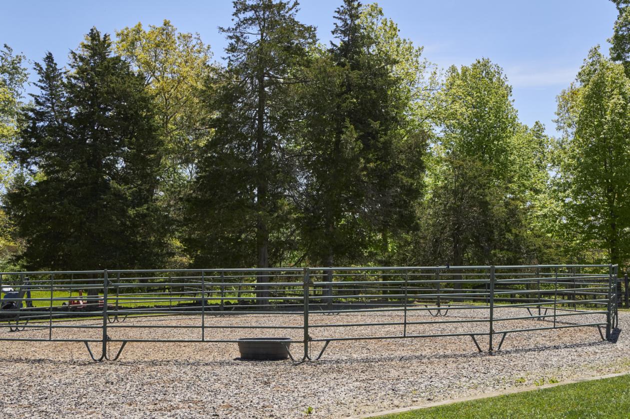 WhistleWood Farm - photo 13