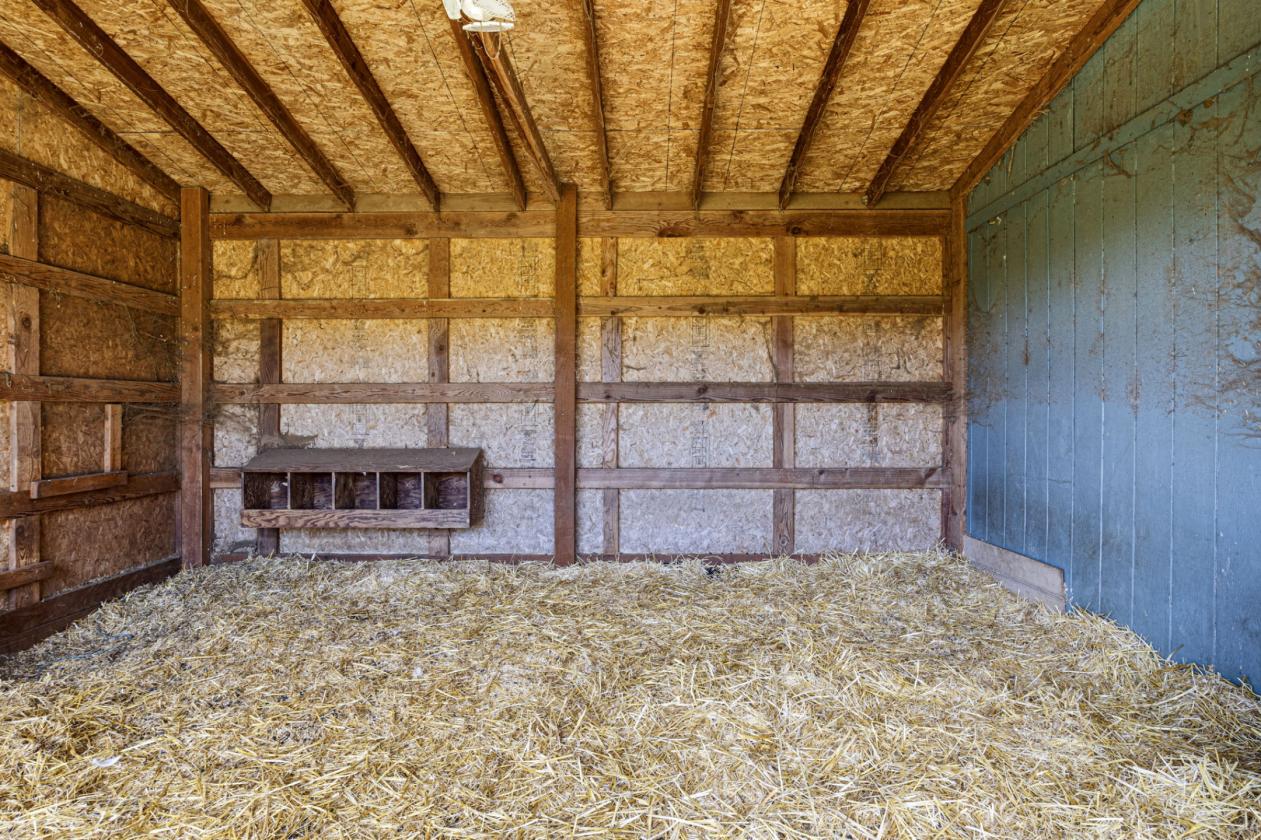 5 Acre horse property, fully remodeled home! - photo 19