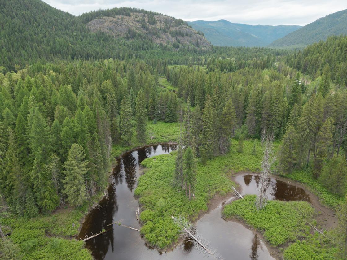 A Rare Opportunity to Own 155 acres - photo 5