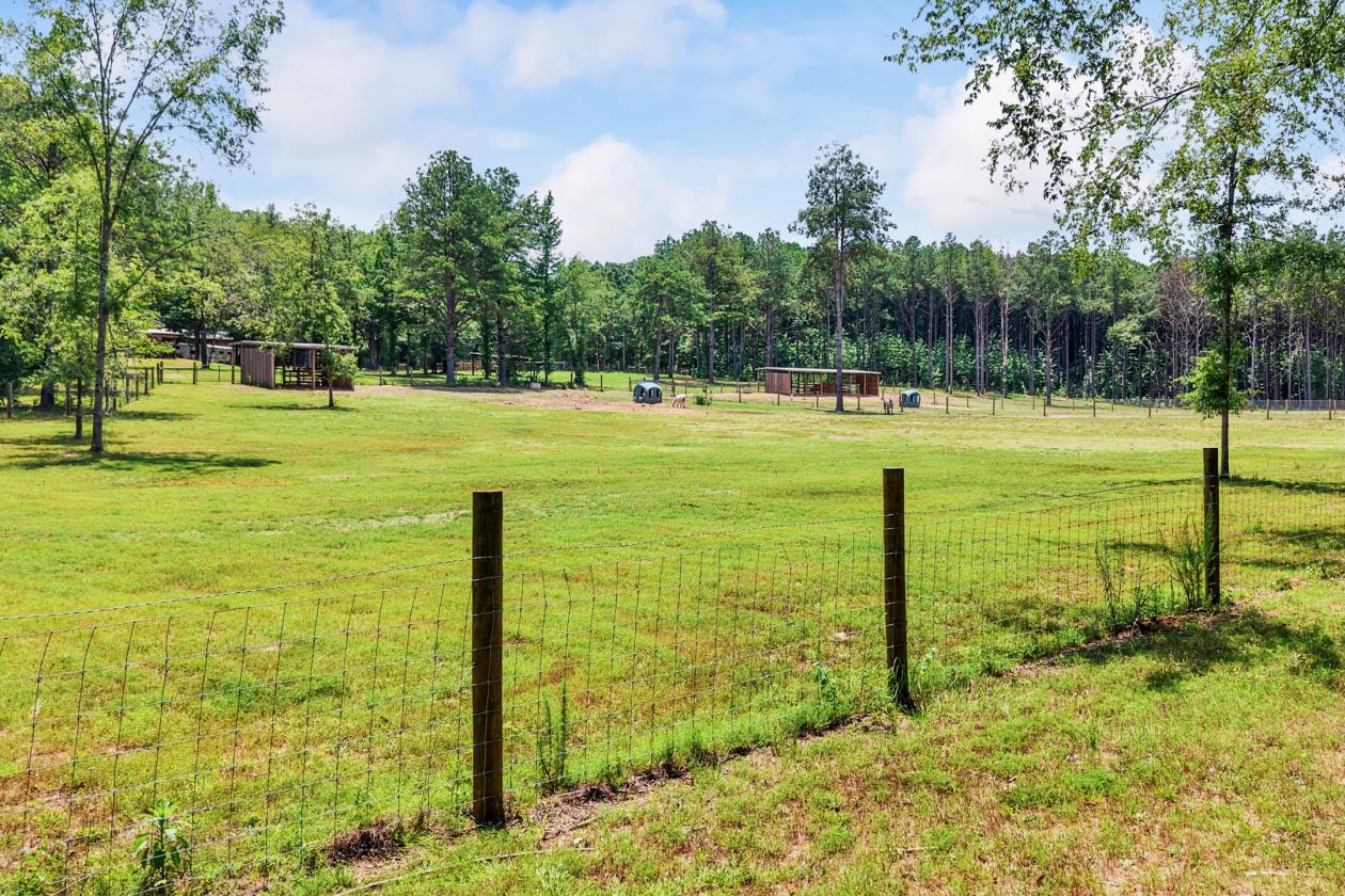 89.99 acre horse farm with lighted arena & more - photo 20