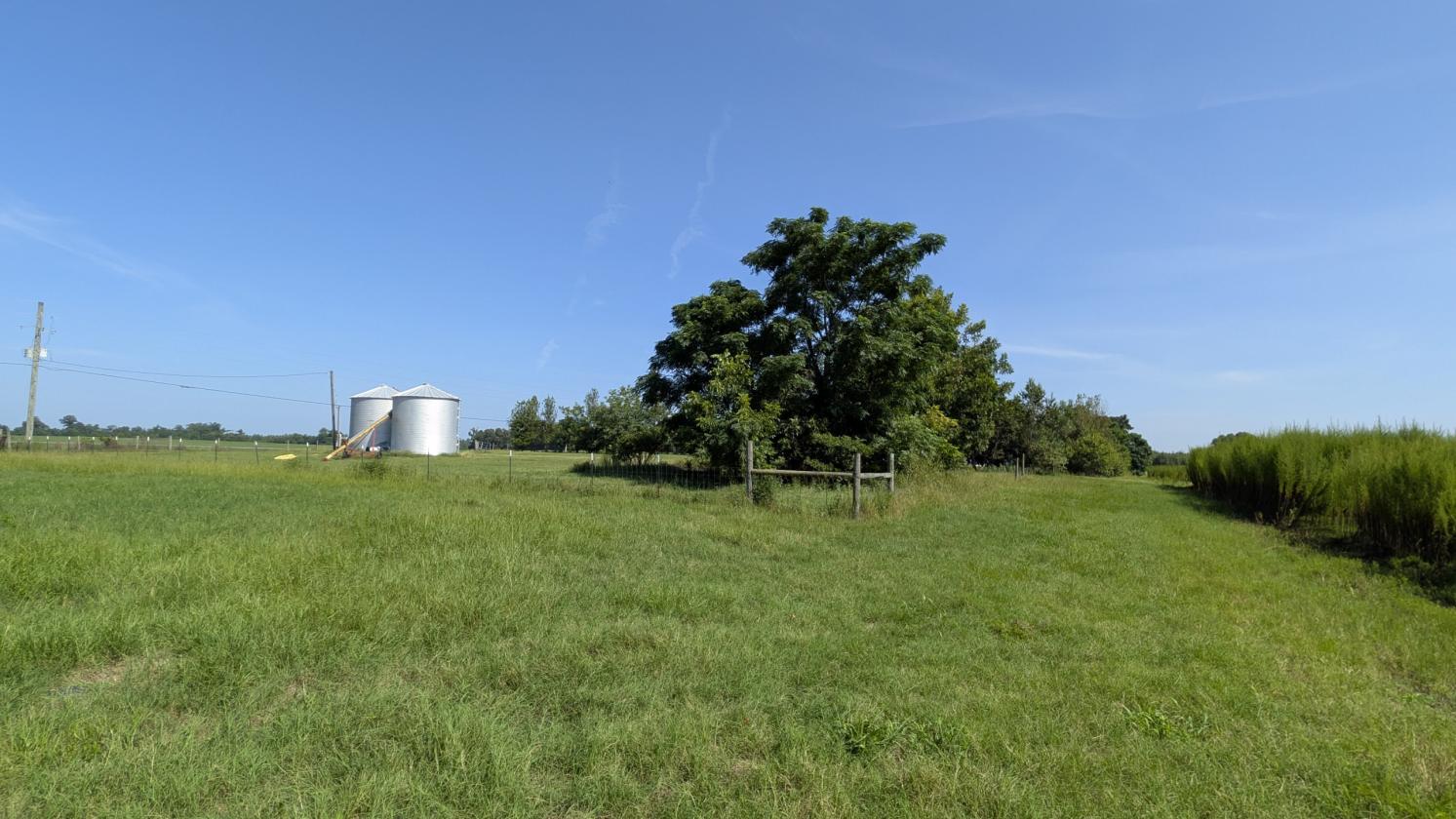 Prime 76 acre farm in Jackson County - photo 4