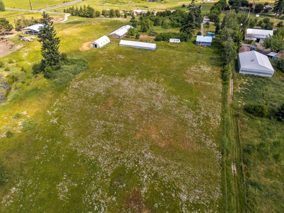 14.77 Acres with Mount Rainier Views - photo 28