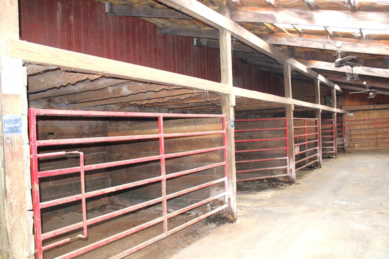 Central Indiana Horse Training & Boarding Facility - photo 23
