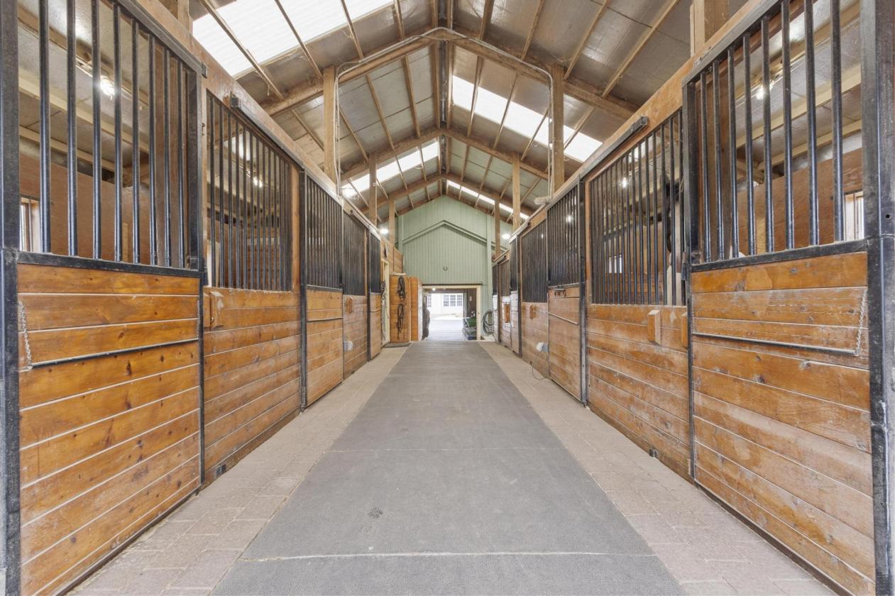 38 Acres with Updated Home, Barn, and Arena - photo 5