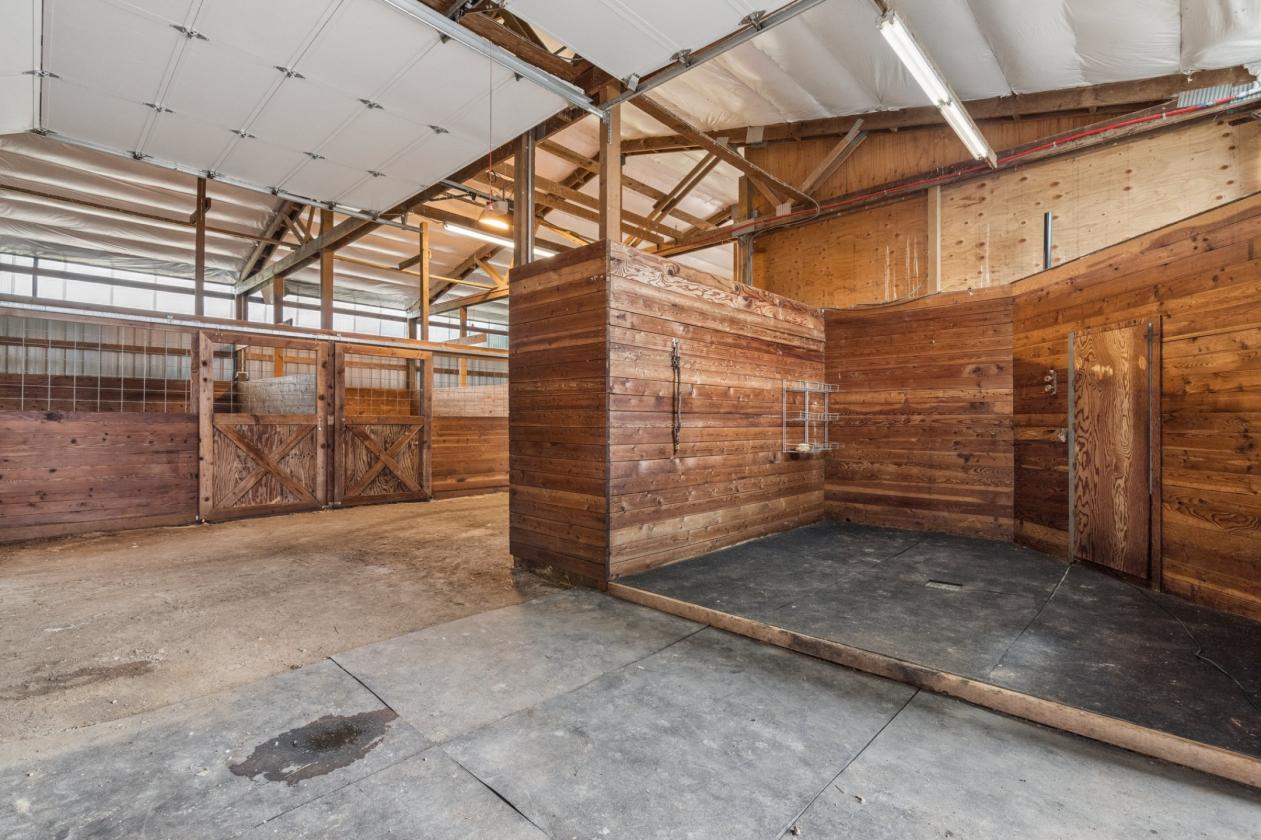 Modern Country Living Meets Equestrian Excellence - photo 25