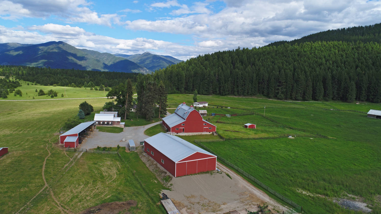The Big Red Barn Of Big Red Barns Little Trout Creek