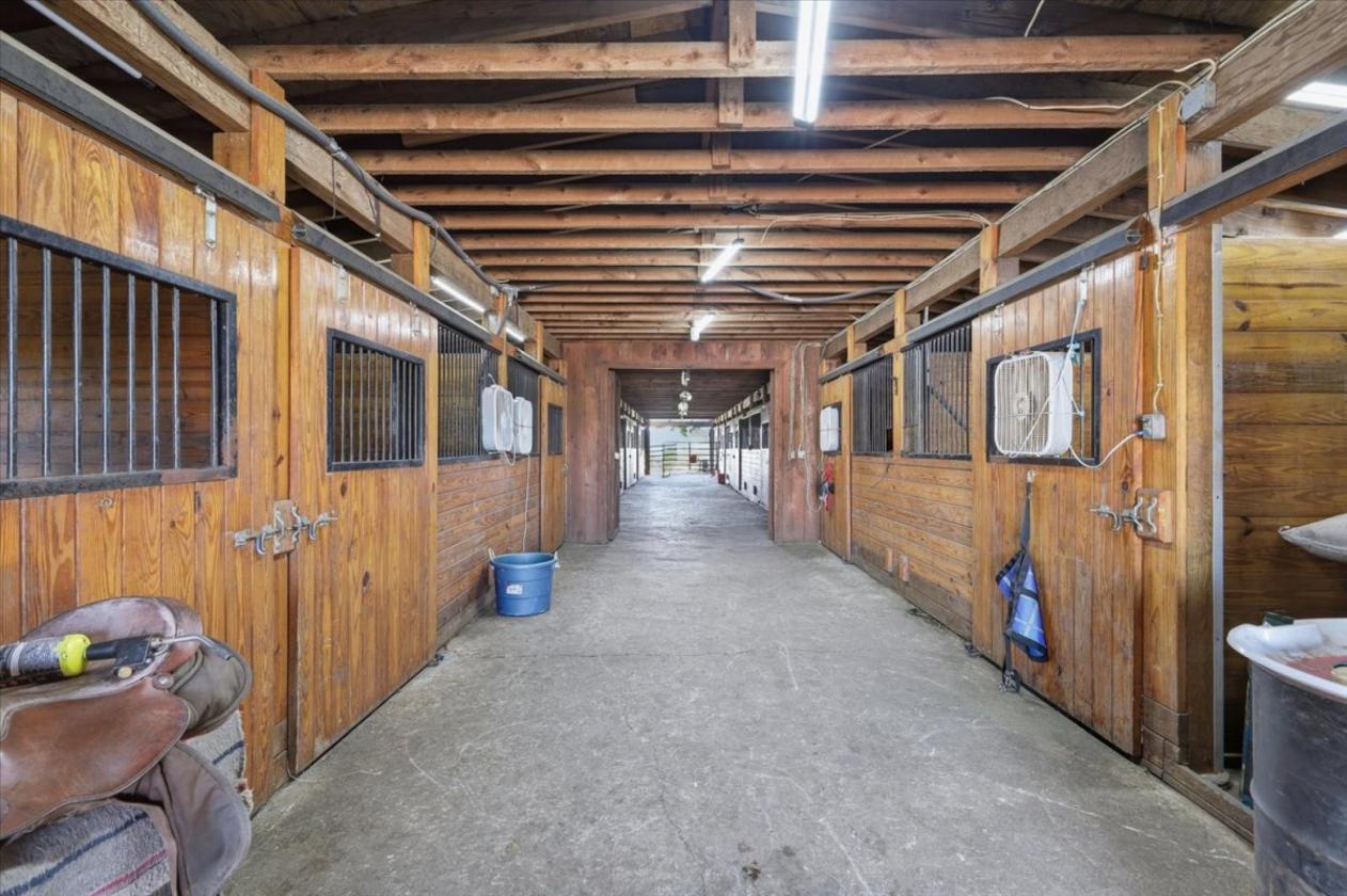 Easy Living - The Equestrian Dream - photo 11