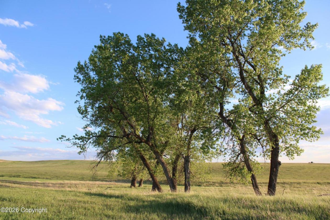 WY Horse Property with Views and NO Covenants! - photo 17
