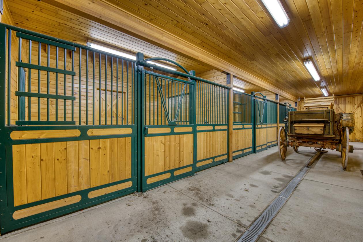 Two Feathers Ranch - photo 23