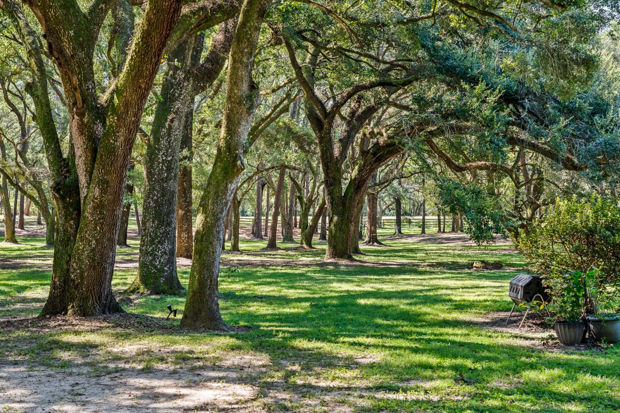 Coastal AL - French Country Estate 10+ Acres & Horses - photo 26