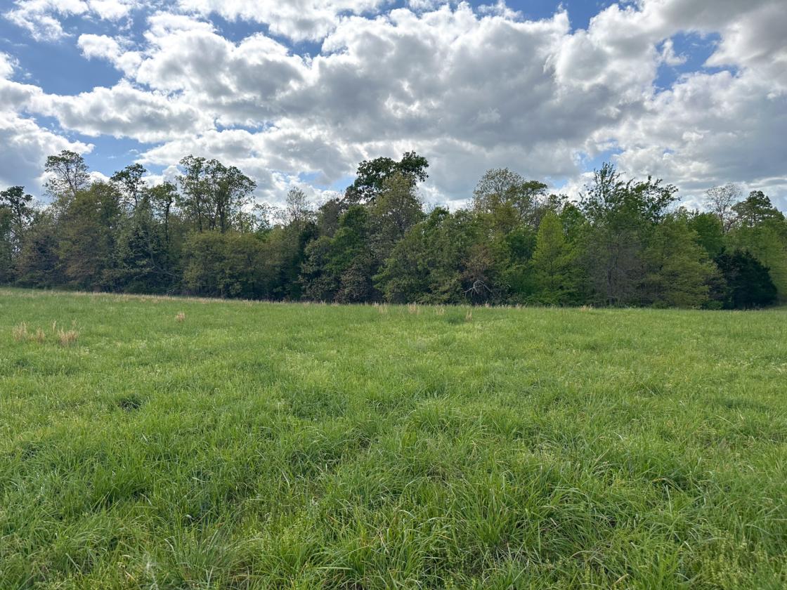 139 Acre Farm - Horse & Livestock Ready - photo 12