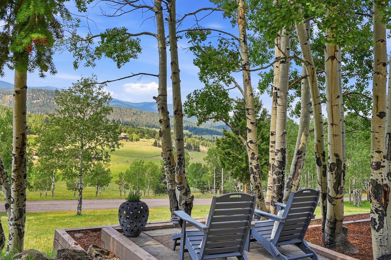 MCM Architecture & Mountain Views! - photo 2
