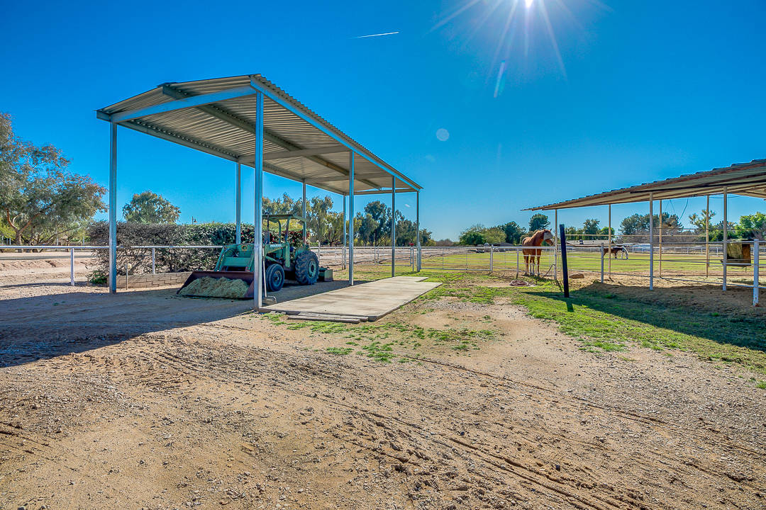 Prime Chandler Location Horse Ranch where the horses roam free