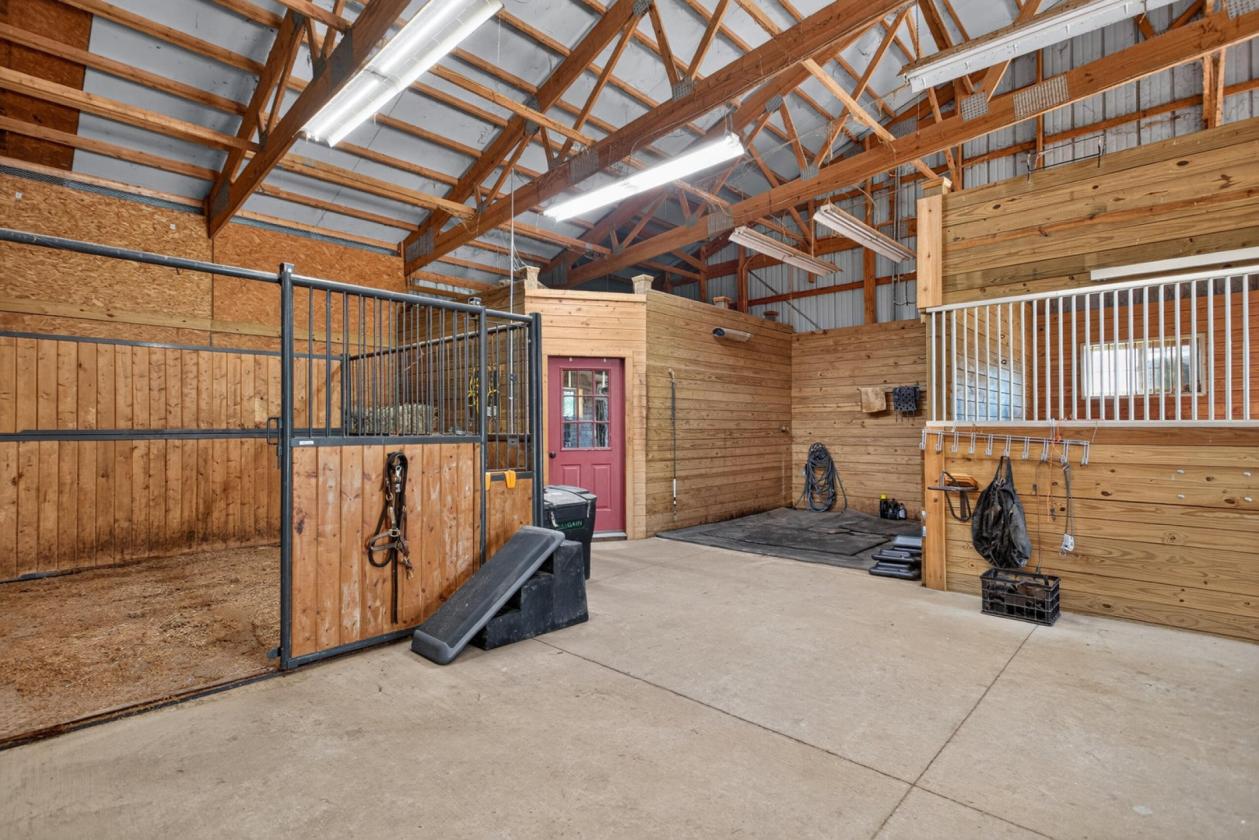 Equestrian Dream - photo 21