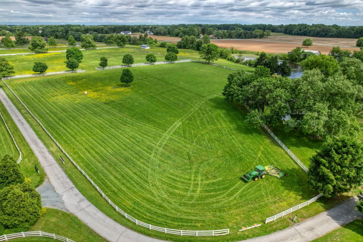 CandyLand Farm: Where Dreams Gallop Free! - photo 21