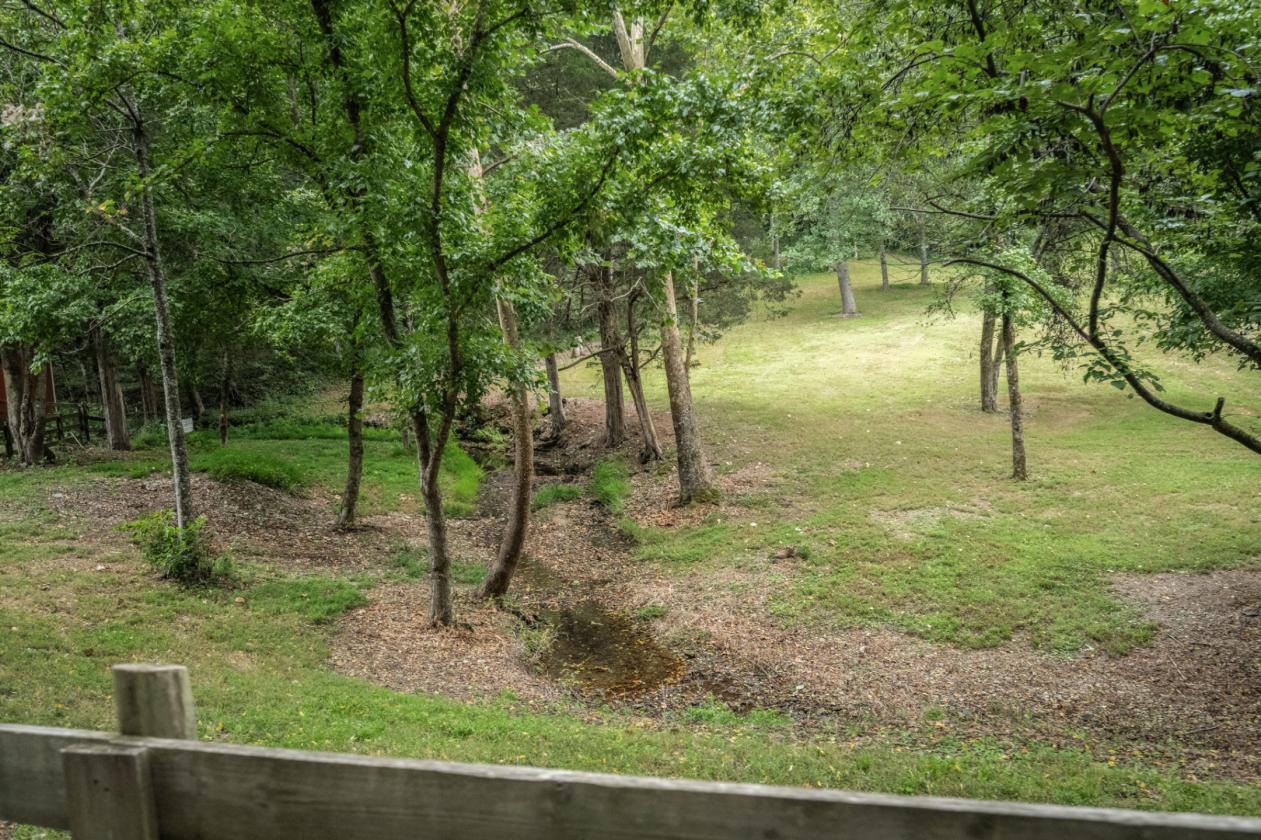 Trail Riding Dreams and privacy galore!! - photo 9