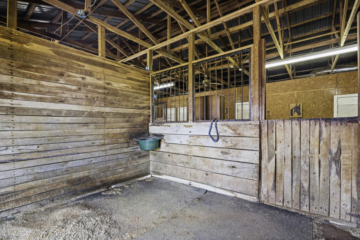 Oak Ridge Farm, an Equestrian Estate on 75+/ Acres - photo 27
