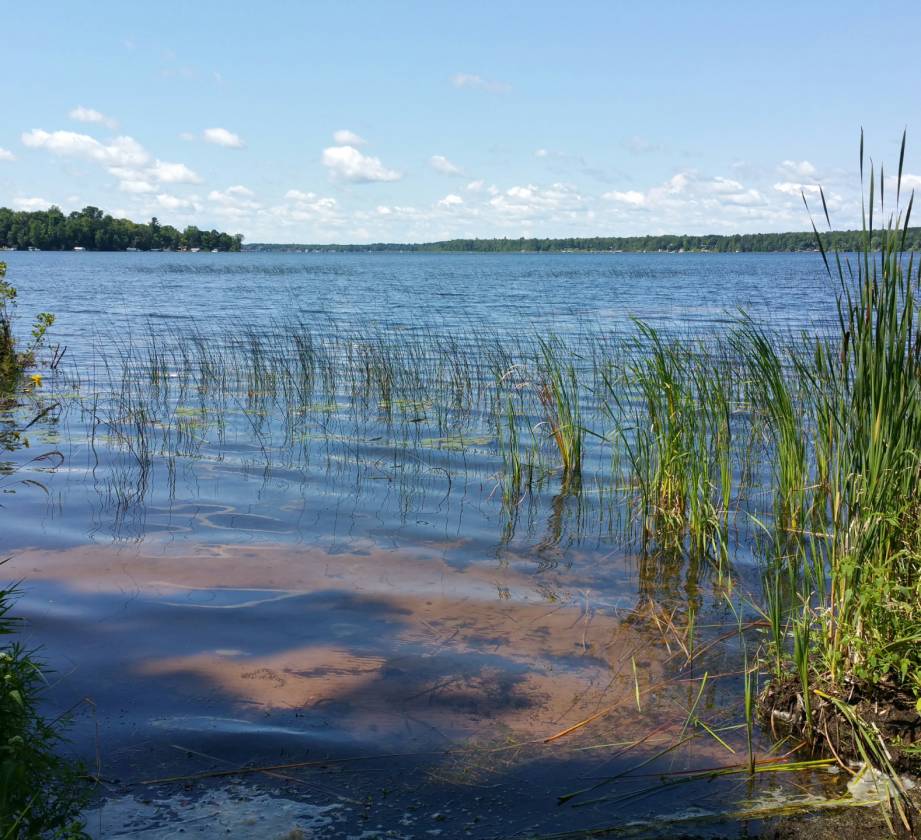 Lakefrontage Sturgeon Lake Minnesota 142 Acres With 2300+ Feet