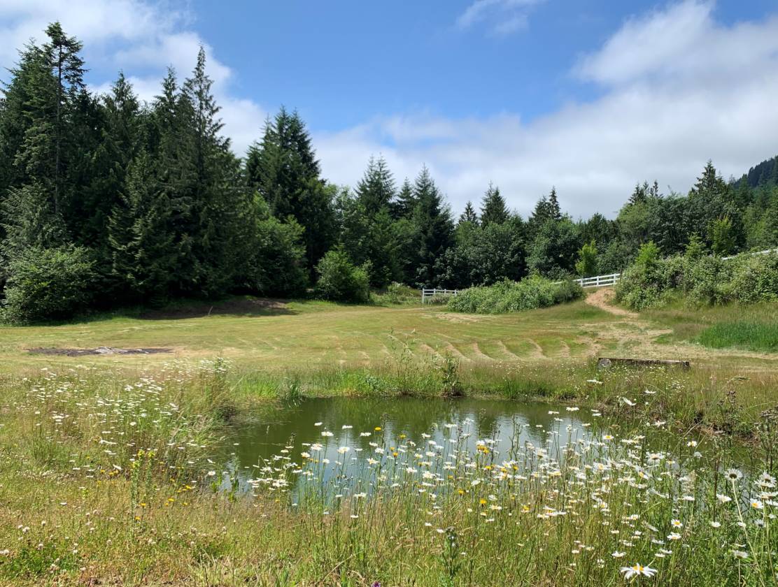 27 Acre Forest Trails Wonderland - photo 26