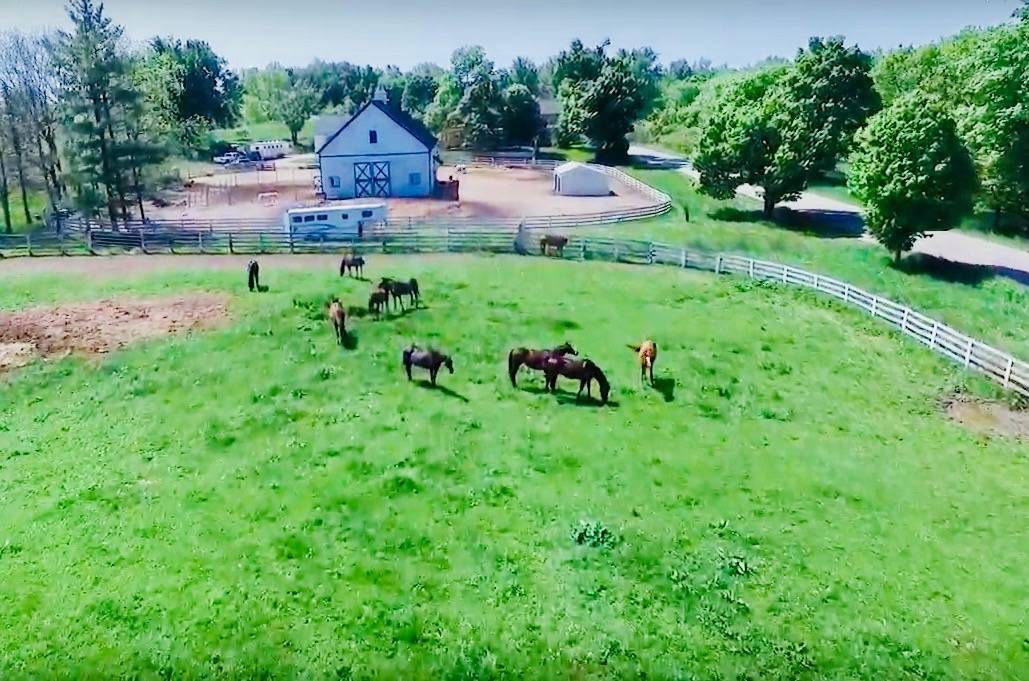 HISTORIC HOME & HORSE FARM Lapeer, Lapeer County, Michigan