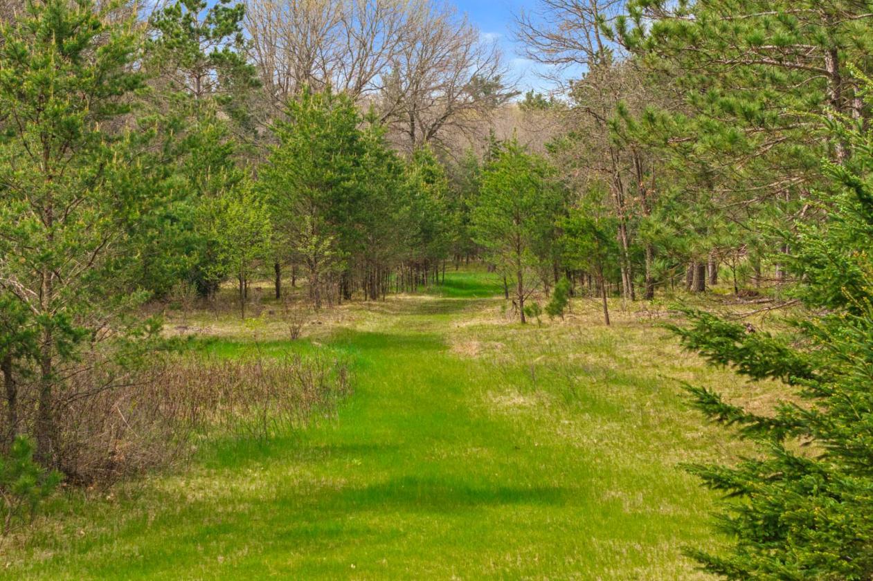 Classic log home on 23 gorgeous wooded acres! - photo 27