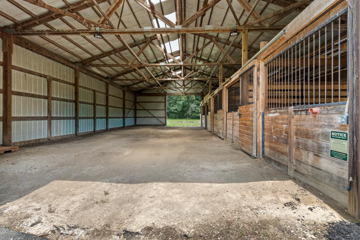 Small Horse Farm - photo 9