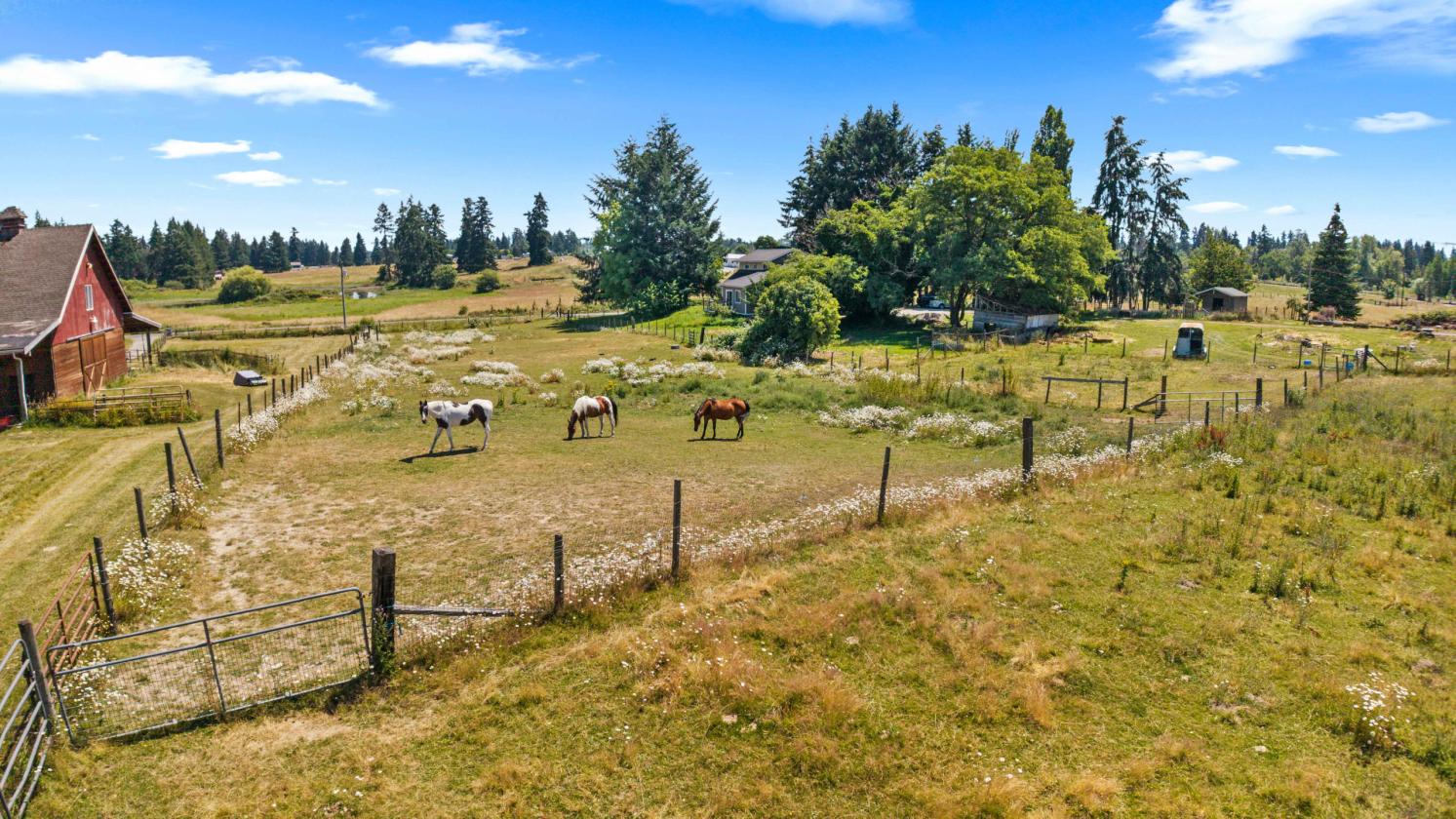 13.35 Acre Working Farm in Yelm, WA! - photo 13