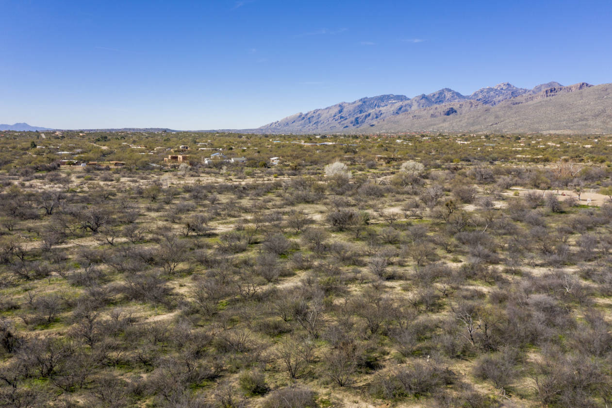9.95 Acres of Horse Property in the Tanque Verde Valley... Tucson