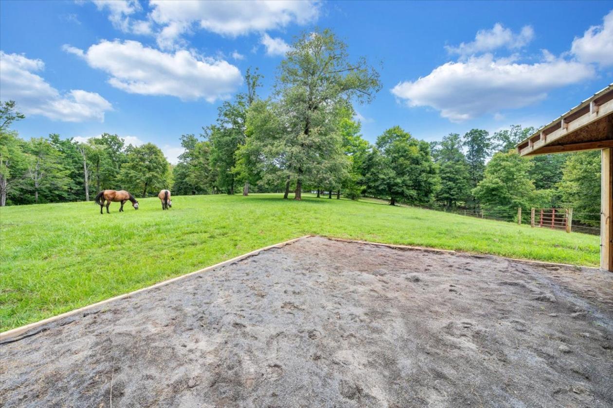 Private Setting Horse Farm - photo 19