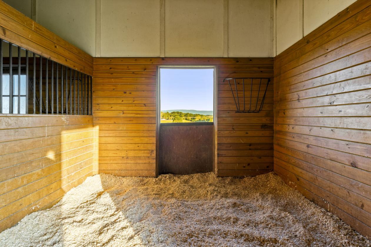 OAKLAND | A Distinctive Estate in VA Hunt Country - photo 24