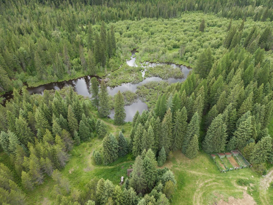 A Rare Opportunity to Own 155 acres - photo 8