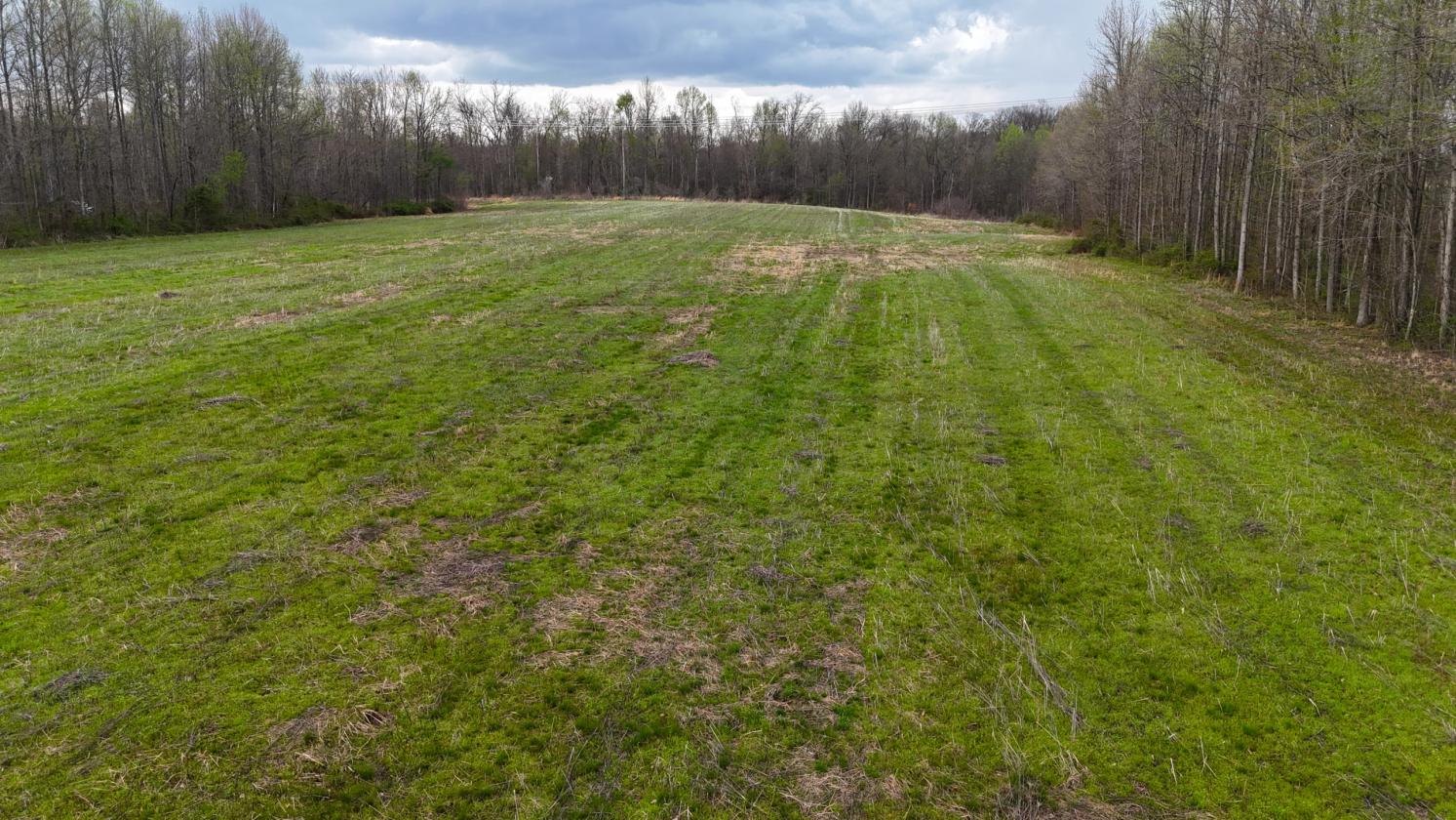 Excellent Acreage For Future Equestrian Property - photo 9