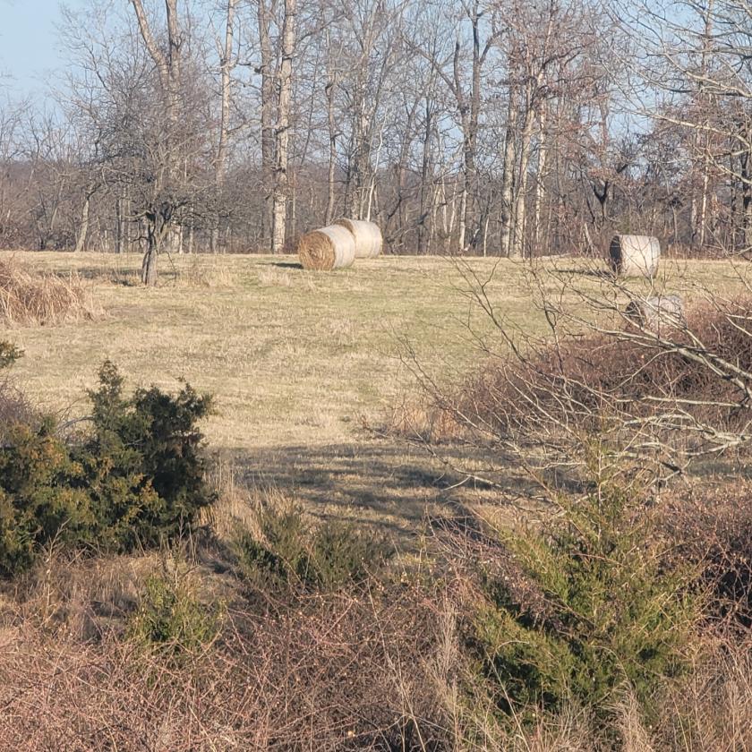 Investment opportunity/Equestrian Facility - photo 23