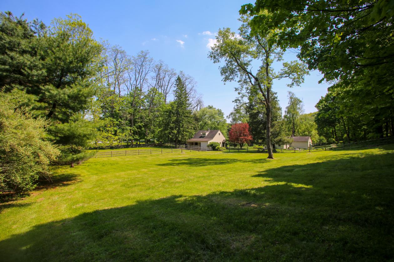 Little Fox Farm - photo 3