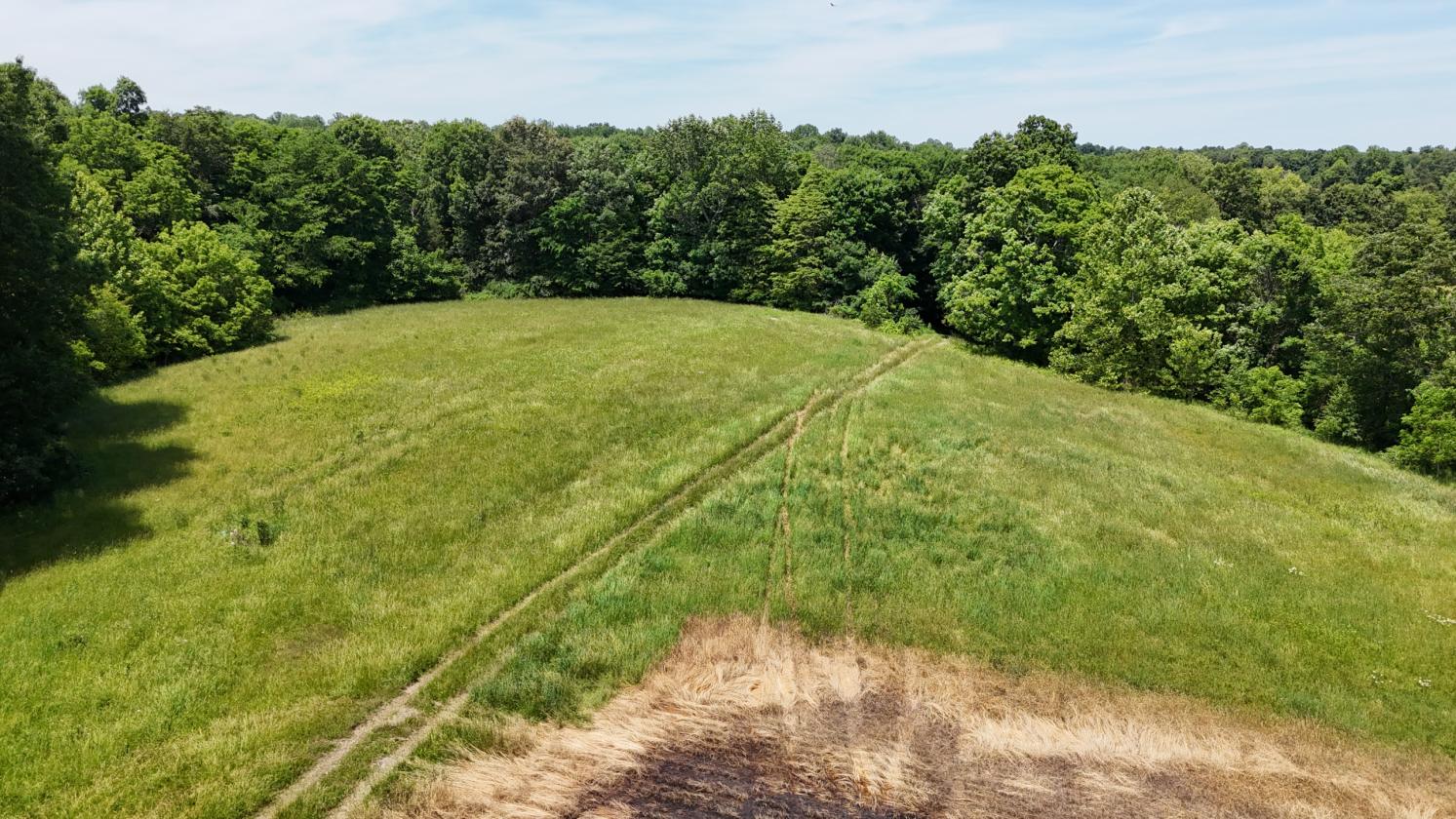 Large Farm Property With Water And Electric Onsite - photo 21