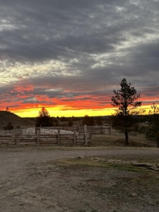 Piece of Heaven on 75 Acres - photo 12