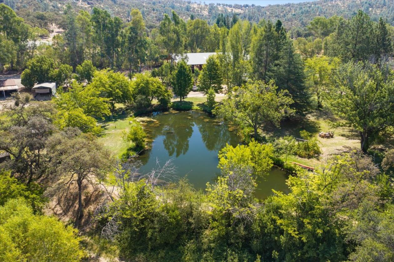 Professional Rodeo setup and Gorgeous House - photo 15
