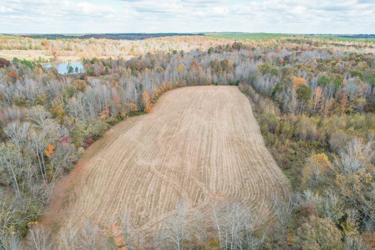 Versatile 88-Acre Tennessee Farm - photo 27