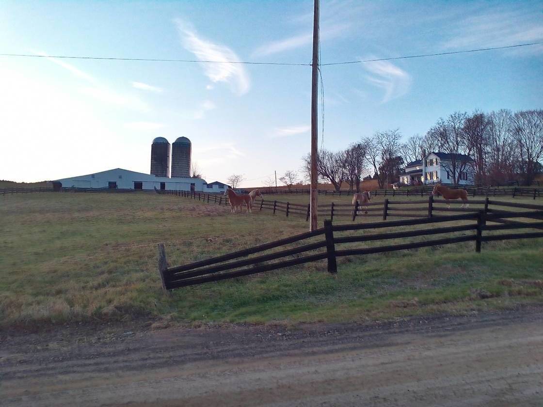 172 Acre Horse Farm Desirable Country Setting Avoca, Steuben County, New York